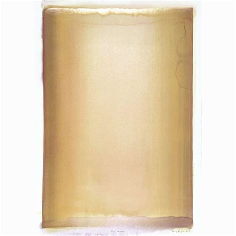 Veils XXXXVII - Grahams Gallery