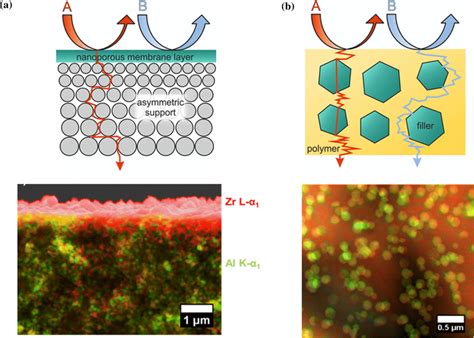 Typical Nanoporous Membranes Thin Supported Mof Layer And Nano Seized