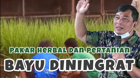 Bayu Diningrat Pertanian Dan Peternakan Bayudiningrat