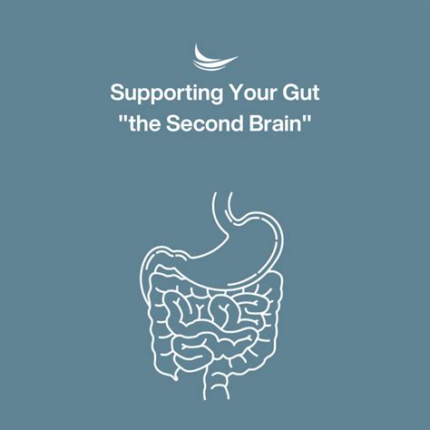 Supporting Your Gut "the Second Brain"