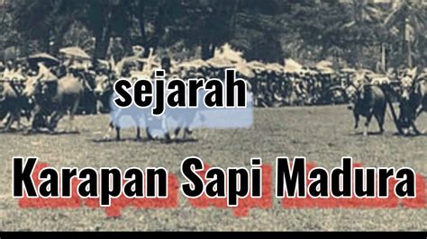 Sejarah Karapan Sapi Madura II DewiSurya 1508 YouTube