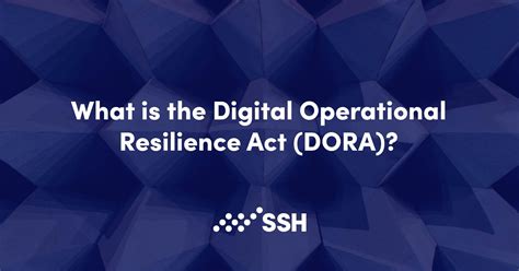 Understanding The Digital Operational Resilience Act Dora Ssh