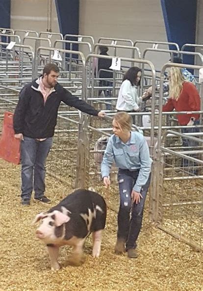 Results From Tennessee State Junior Swine Show Tennessee H