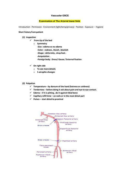 SOLUTION Vascular Osce Exam Studypool