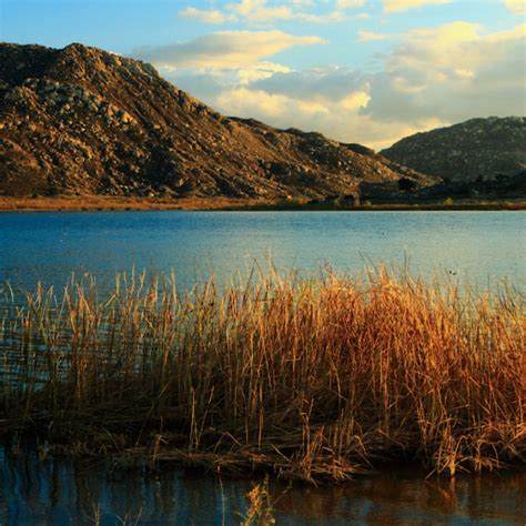 Lake Perris Fishing: Discover the Best Spots and Tips for Anglers at Lake Perris - Fishing blog