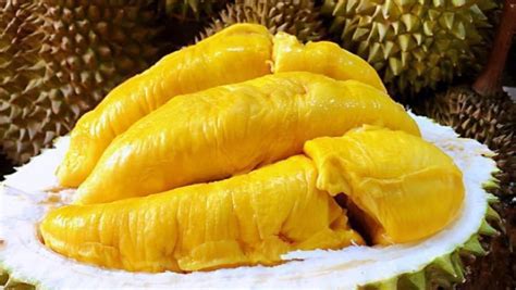 Davao City faces durian supply shortage | News Fort - Your choice for NEWS