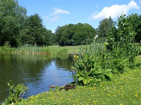 Urban Pond Image Eurekalert Science News Releases