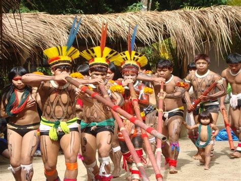 Danças Indigenas No Brasil - 10