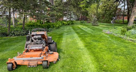 The Benefits Of Professional Lawn Care Why Hiring A Lawn Mowing