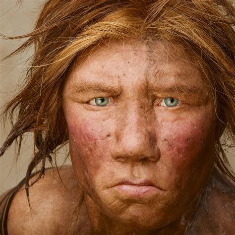 Decoding Neanderthal