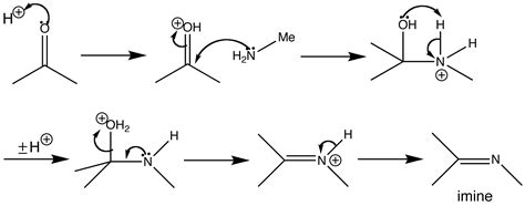 Imine Formation