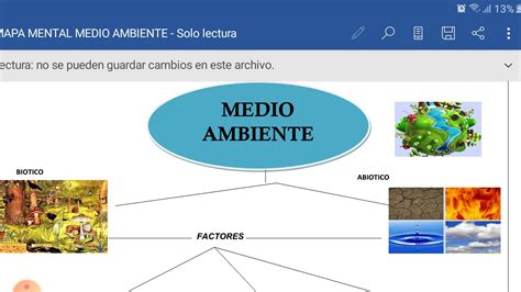 Meio Ambiente Mapa Mental