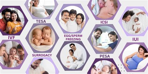 Best Infertility Centre In Hyderabad Fertilityworld