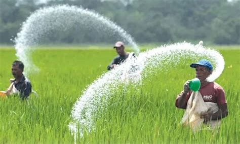 Bangladesh To Import Tons Of Fertilizer From Russia