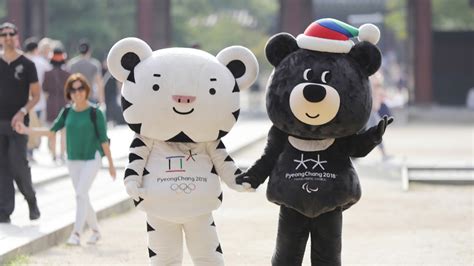 Tiger And Bear Stories Behind The Mascots Of Pyeongchang Olympics Cgtn