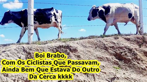 A Onde A Vaca Vai O Boi Vai Atr S Pesqueiro Lagoas Monte Mor Touro