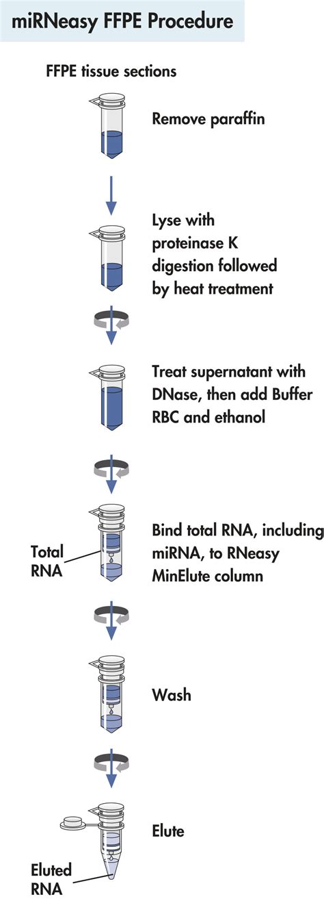 Mirneasy Ffpe Kit Ffpe Tissue Microrna Extraction Qiagen