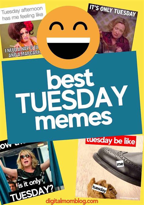 Tuesday Memes That Understand The Struggle | Tuesday humor, Tuesday