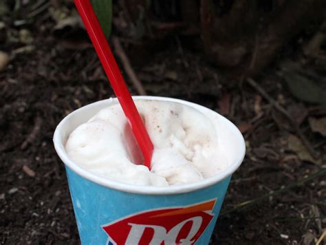 Dairy Queen S’mores Blizzard Treat [Review] | S’more Scout