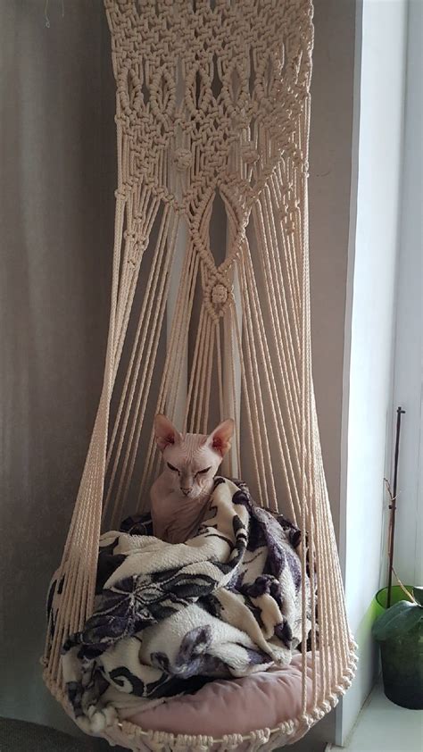 Гамак для кошки | Кошки, Макраме, Гамак