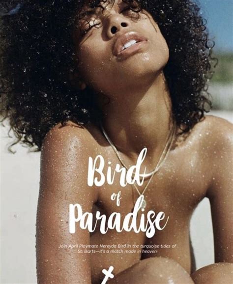 Nereyda Bird Hot Nude 23 Photos The Fappening