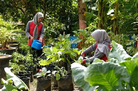 Memberdayakan Wanita Desa Inisiasi Csr Pt Semen Gresik Melalui Bumi