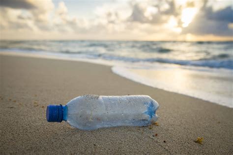 Inquinamento Da Plastica Il Tragico Impatto Ambientale