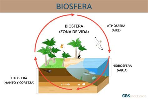 Partes De La Biosfera Images Porn Sex Picture