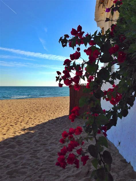 Sant Pol De Mar Gloria Sanagustin Flickr