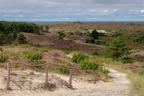 Wandelen In Noord Holland Tips Voor De Mooiste Wandelroutes