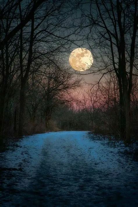 45 Fascinating Full Moon Photography Tips and Ideas - Greenorc | Moon ...