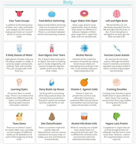 100 Common Myths Debunked In One Comprehensive Infographic My Modern Met