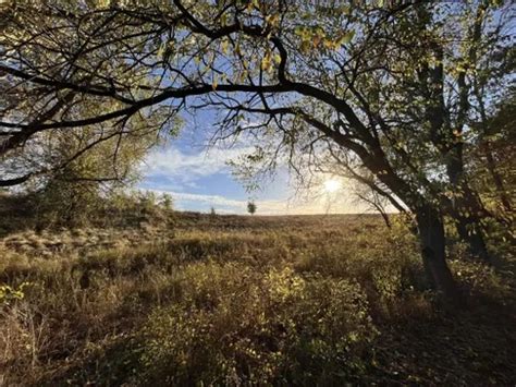 10 Best Hikes And Trails In Shawnee Mission Park Alltrails