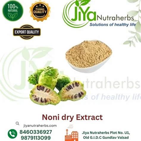 Noni Morinda Citrifolia Dry Extract At Rs 400kg Gundlav Valsad