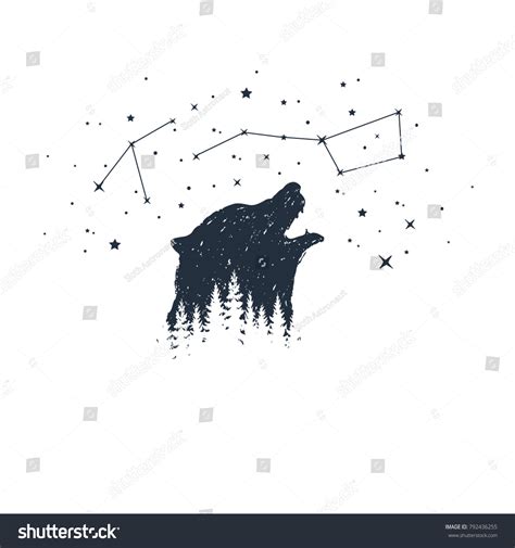 animal constellations 10