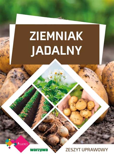 Uprawa Ziemniaka Jadalnego Zeszyt Uprawowy Plantpress Sp Z O O