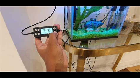 Hygger Aquarium Light 14W YouTube