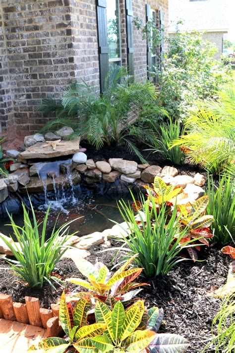 Build a Pond DIY