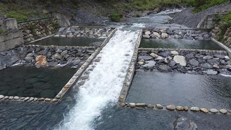 屏東林管處獲優良農業建設獎肯定 優化棲地共創生態復育 中央社訊息平台