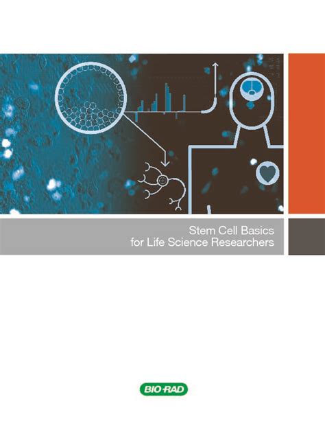 PDF Stem Cell Basics For Life Science Researchers Bio Rad