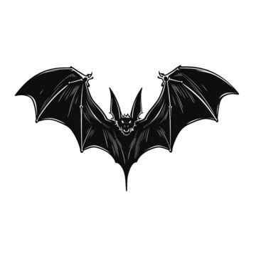 Bat Hand Drawn Vector Illustration Great For Halloween Design Bat