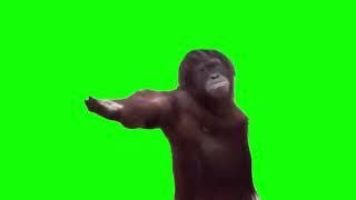 demanding-monkey-meme-green-screen - Green Screen Memes