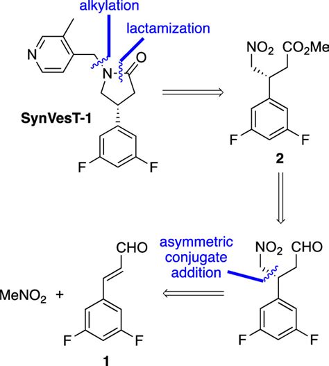 Organocatalytic Asymmetric Synthesis Of SynVesT 1 A Synaptic Density