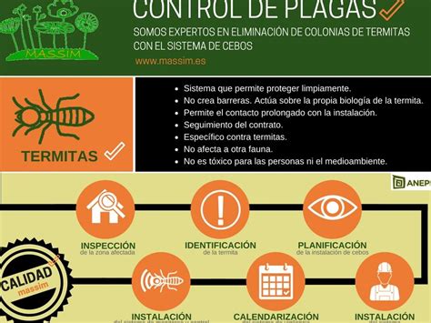 Elimina Termitas De Forma Eficaz Con Gas Gu A Pr Ctica Completa