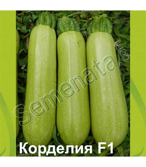 Корделия