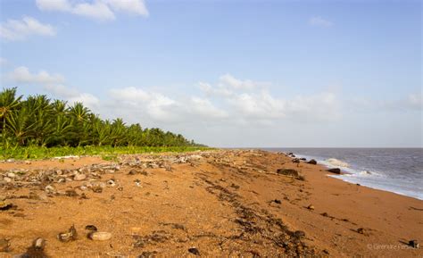 Shell Beach 2 – Things Guyana