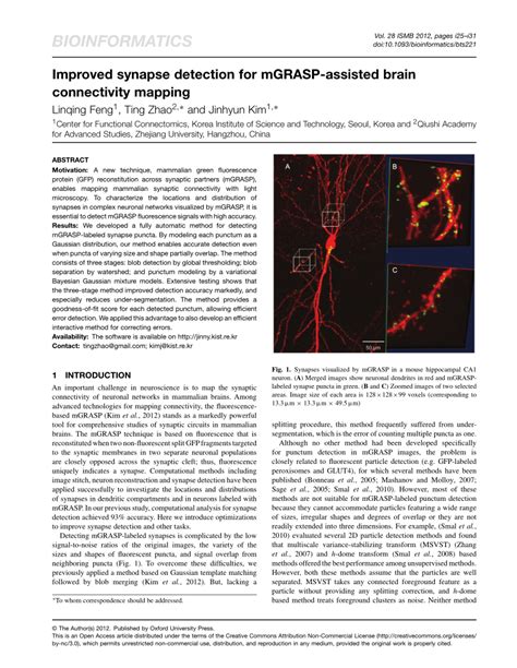 (PDF) Improved synapse detection for mGRASP-assisted brain connectivity mapping