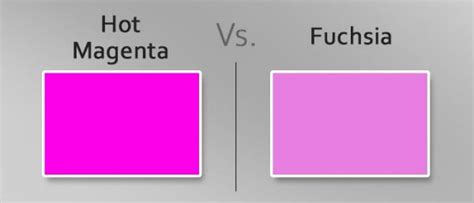 What Color Is Magenta? The Ultimate Guide to This Vibrant Hue ...