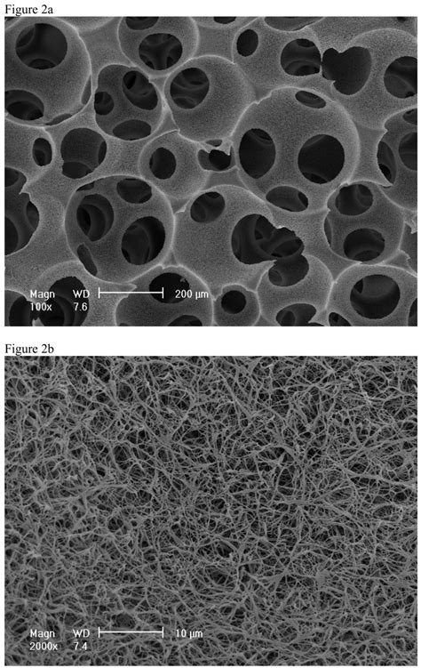 SEM micrographs of PLLA nano-fibrous scaffolds prepared from 10% (wt/v ...