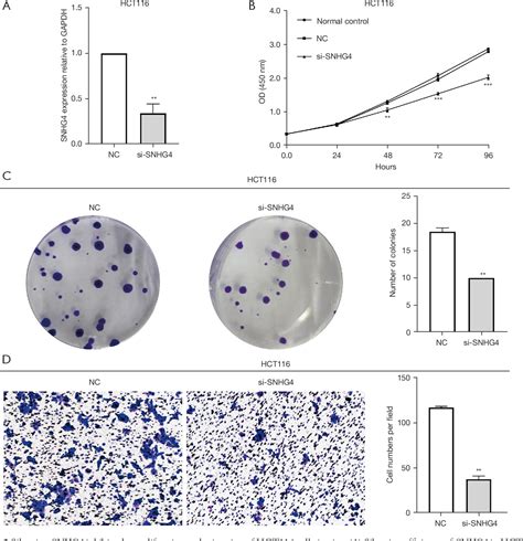 Table 1 From Zebrafish Xenograft Model For Studying The Function Of